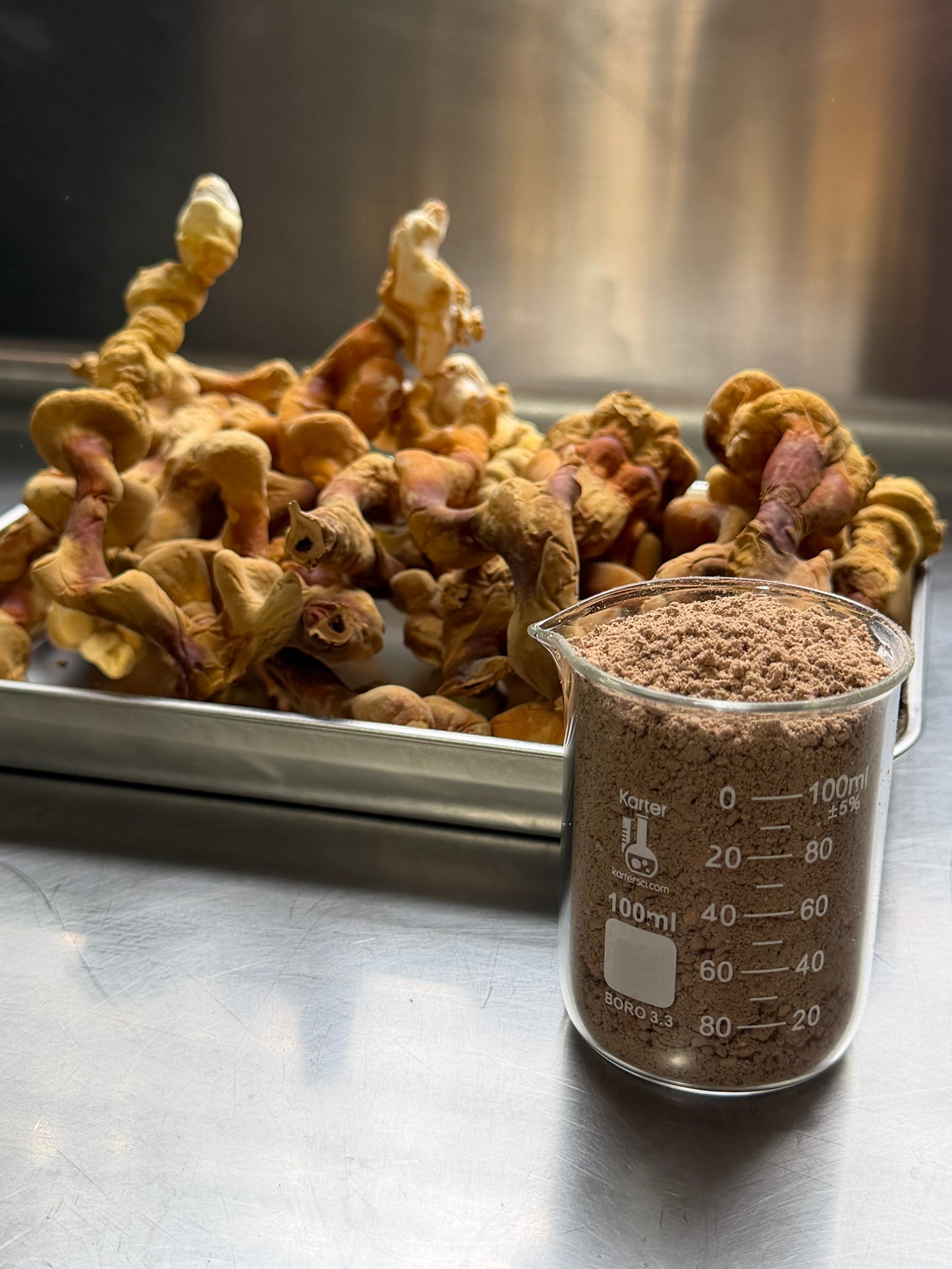 Reishi Whole Mushroom Powder