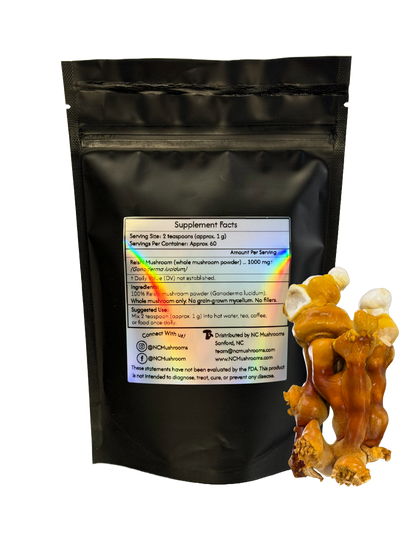 Reishi Whole Mushroom Powder