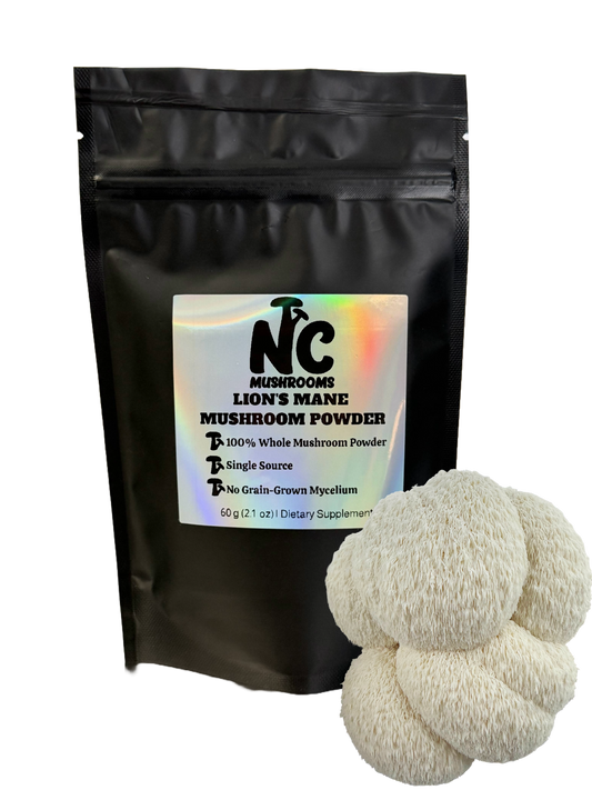 Lion’s Mane Whole Mushroom Powder